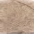 Myk Påfugl fra Dale garn i fargen 3041 Beige.